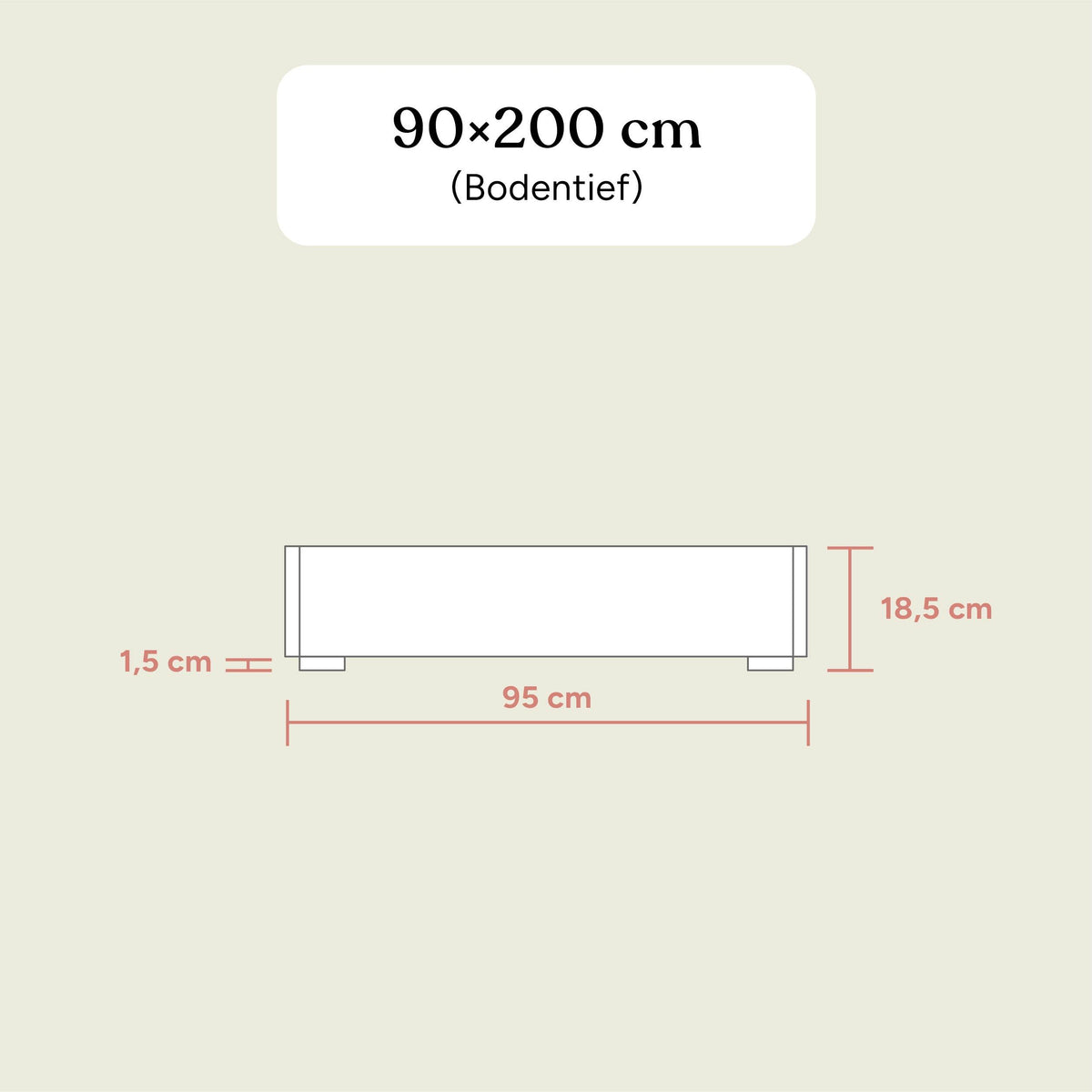 Familienbett Plano | Buche Natur | 90x200 cm