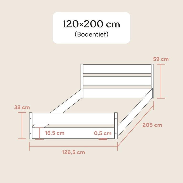 Jugendbett Nova | Pro | Buche Natur | 120x200 cm