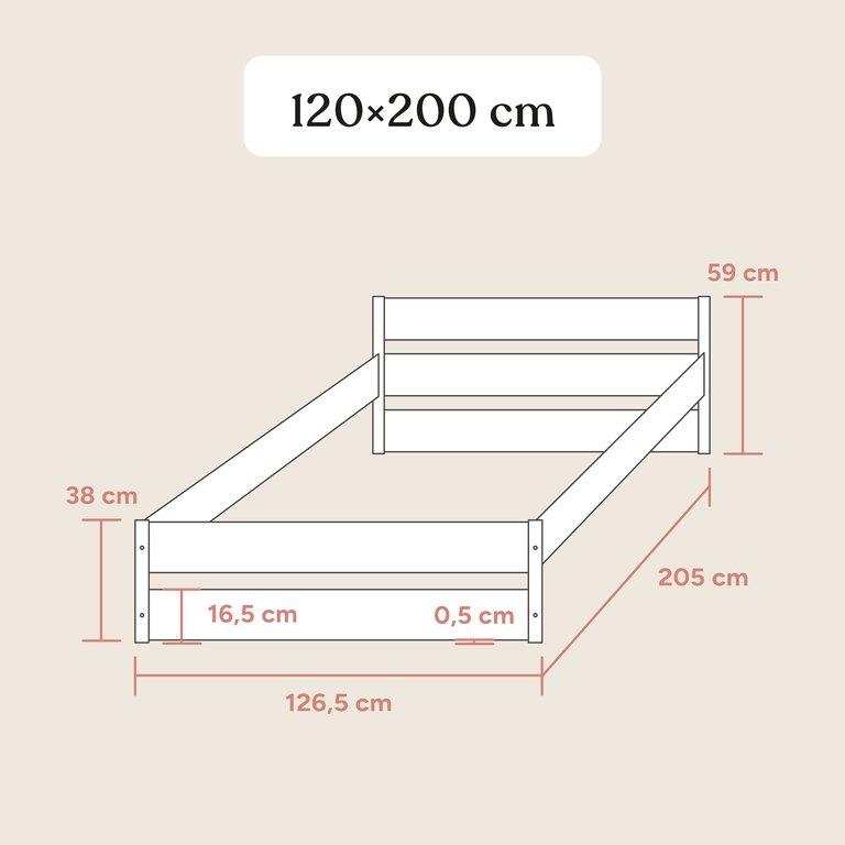 Jugendbett Nova | Pro | Buche Natur | 120x200 cm