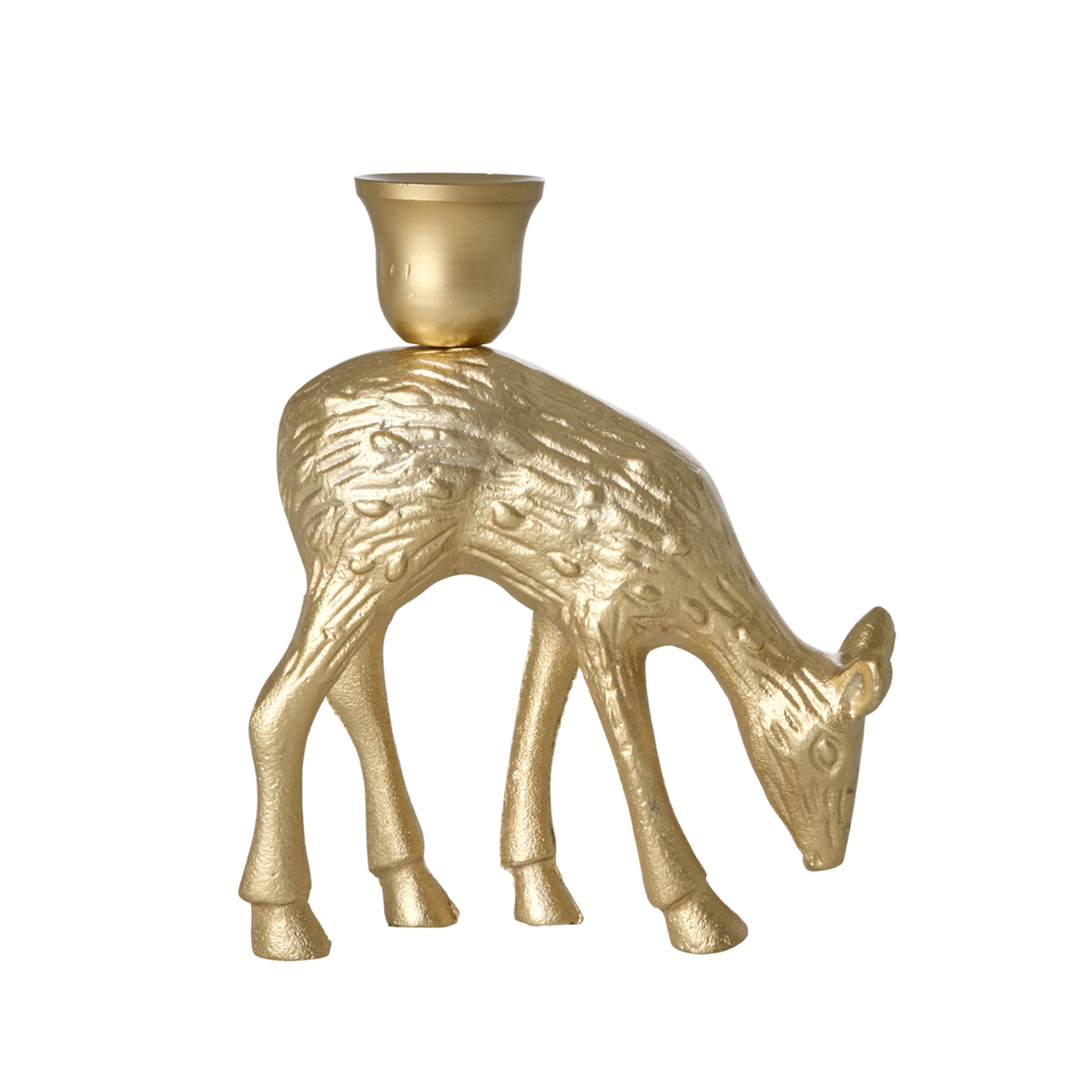 CDHOL-LDEER_1.png