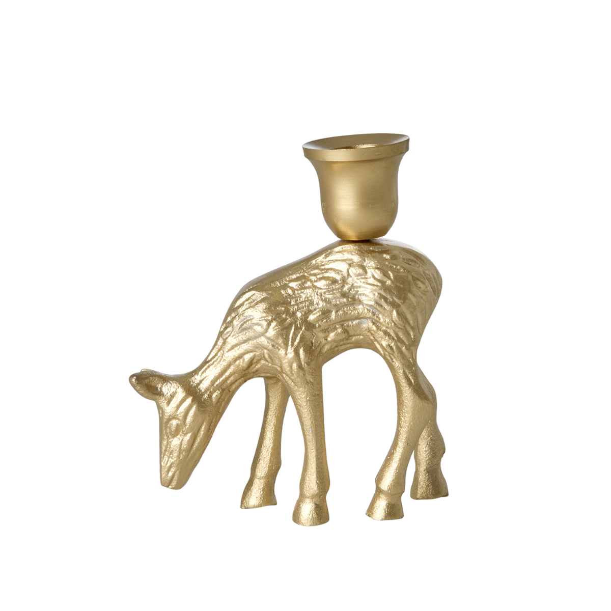 CDHOL-SDEER_1.png