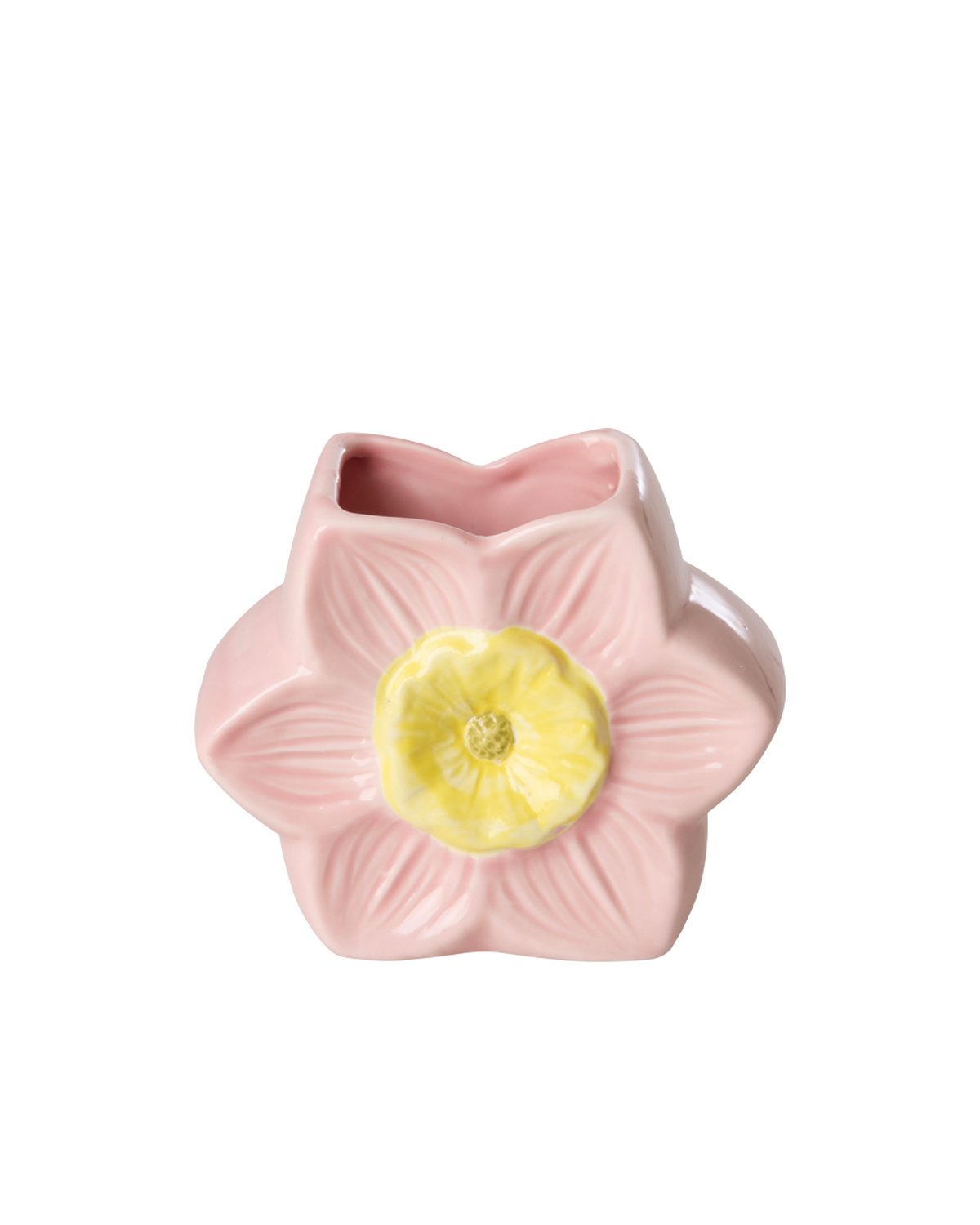 CEVAS-FLOI_1.png