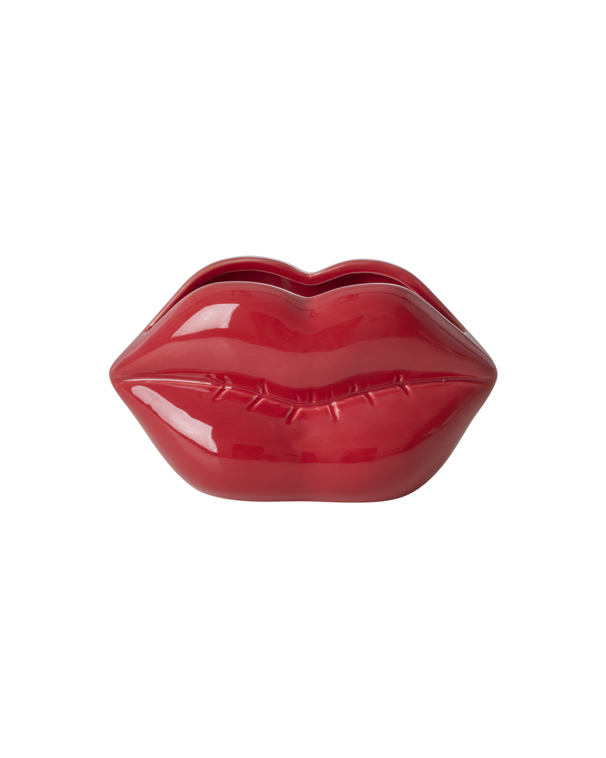 CEVAS-LIPSR_1.png