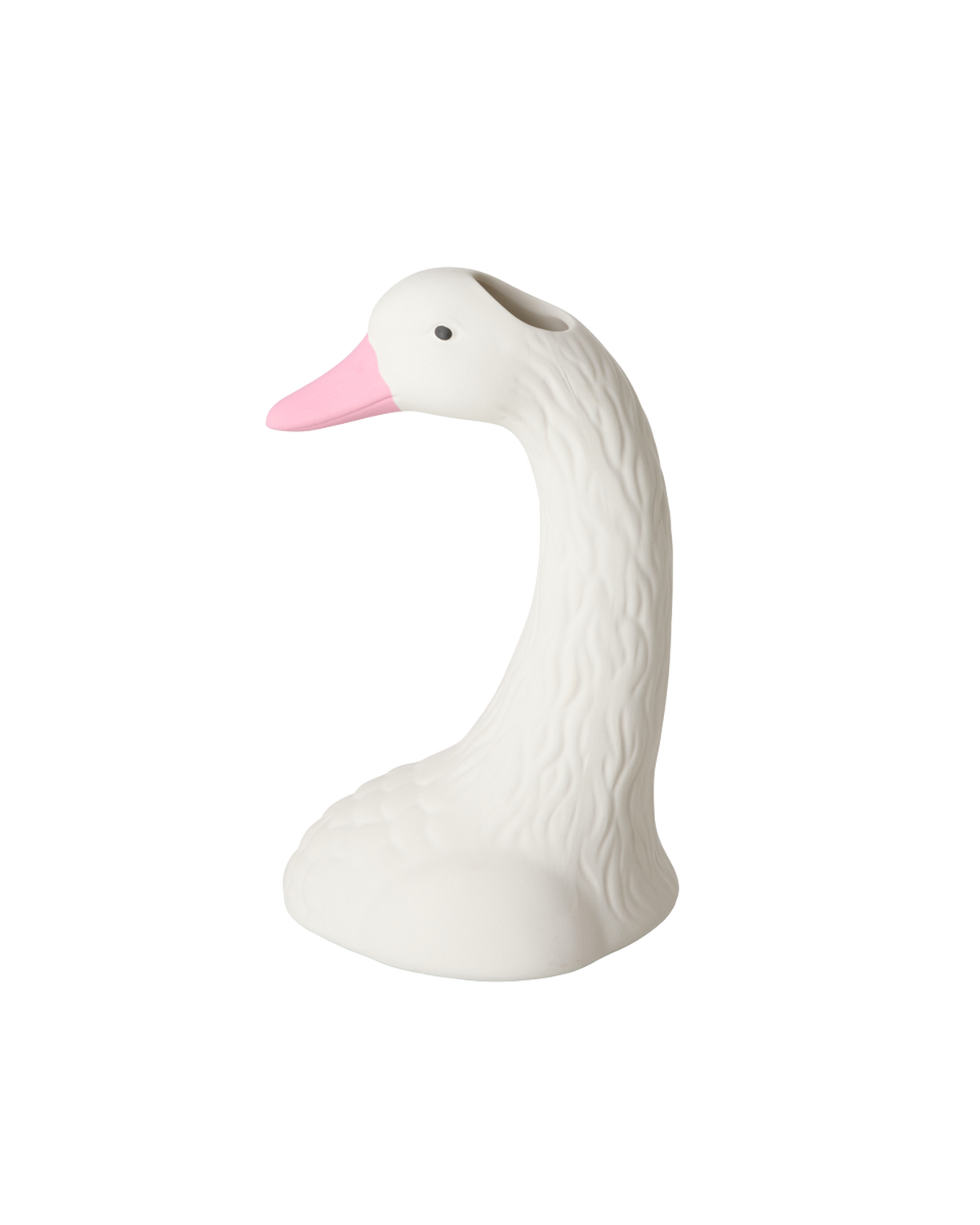 CEVAS-SWANN_1.png