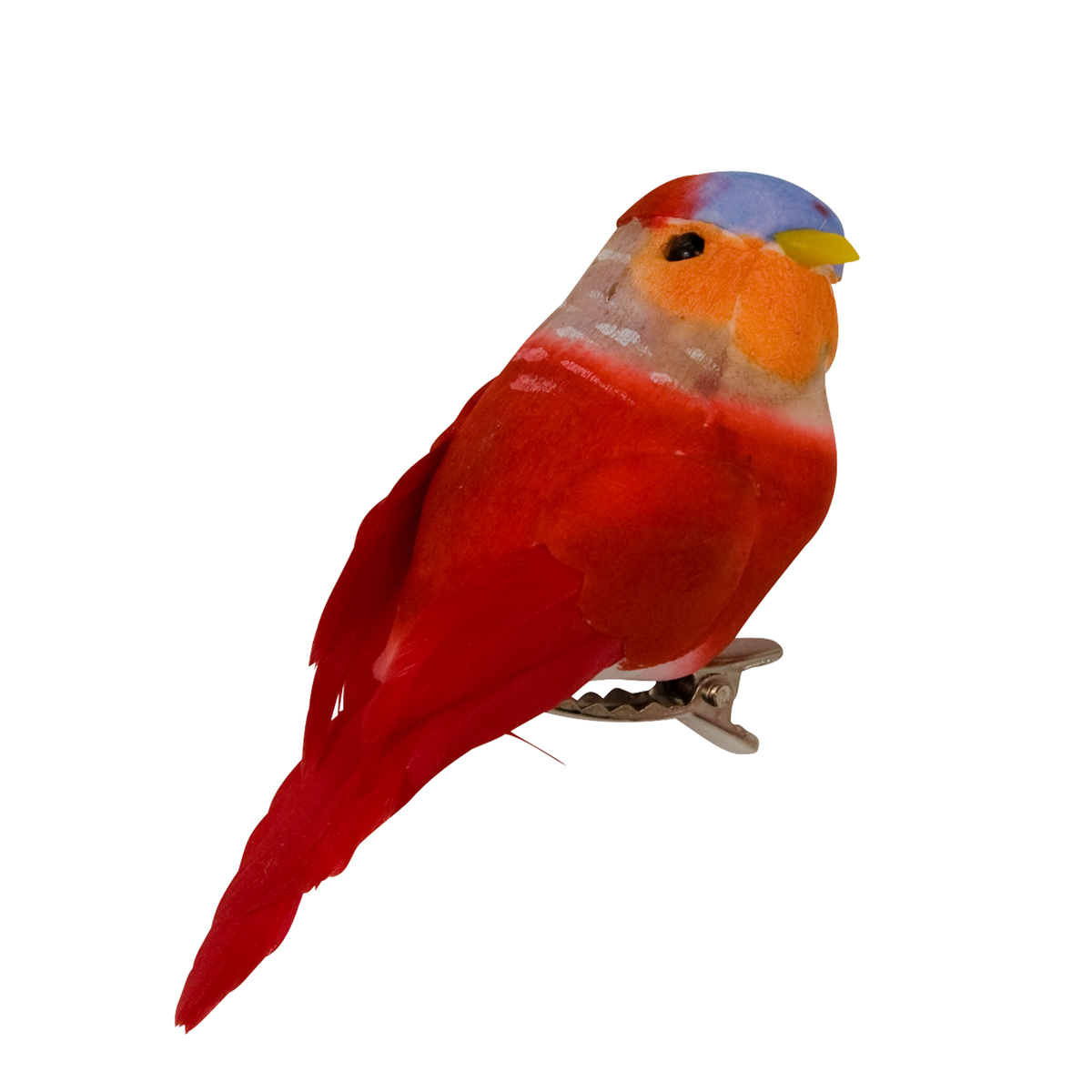 WRBIR-SR_1.png