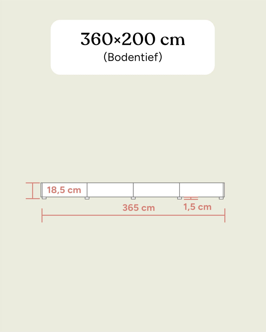 Familienbett Plano | Buche | 360 × 200 cm